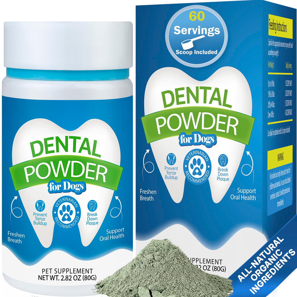 Spanielbuns dental powder 80g bottle displayed for easy daily dog care.