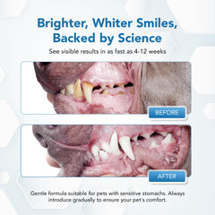Powder sprinkled on dog food to support daily oral care.