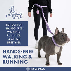 Spark Paws bungee-leash absorbs pull, smoothing quick lunges during walks.
