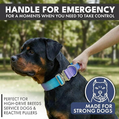 Spark Paws collar handle for quick, controlled training.