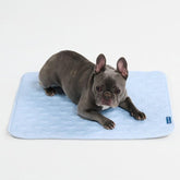 Spark Paws cooling mat hearts blue top view shows cooling surface helping dogs stay comfortable on hot days