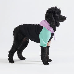 Spark Paws dog hoodie showing butter-stretch fabric for flexible movement