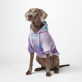 Spark Paws Dog Hoodie front view shows premium, flexible fit for daily walks.