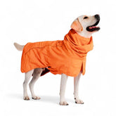 Spark Paws raincoat demonstrates full-coverage protection during rain.