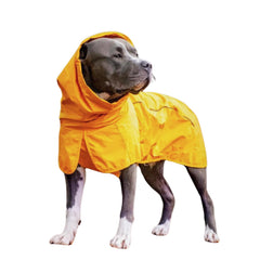 Spark Paws dog raincoat full coverage keeps dry and comfortable in rain