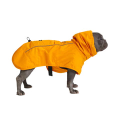 Spark Paws raincoat on dog in mustard yellow for all-weather protection