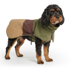 Spark Paws dog raincoat shows full body waterproof coverage for wet walks