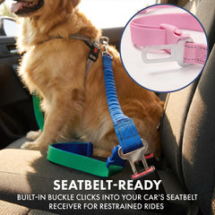 Spark Paws heavy-duty leash withstands strong pulls for larger dogs