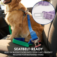Spark Paws heavy-duty tactical leash built to handle strong dogs during rugged outdoor activity.