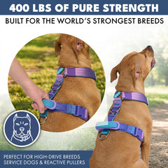 Spark Paws adjustable fit around chest and torso for snug feel