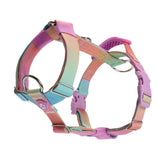 Spark Paws No Pull Harness with Front Clip for larger dogs improves walk control