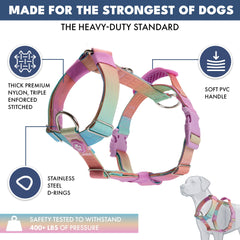 Spark Paws harness with integrated handle for closer guidance during hikes