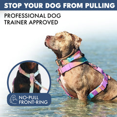 Spark Paws heavy-duty nylon with reinforced stitching withstands rugged use