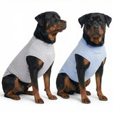 Spark Paws Sunblock Dog T-Shirt blue-grey set protects skin during sunny walks.