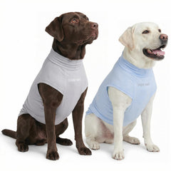 Spark Paws Sunblock dog t-shirt blue grey set front view showing SPF30 protection for active dogs