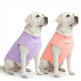 Spark Paws Sunblock Dog T-Shirt front view with SPF 30 protection for sunny days.