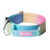 Spark Paws Tactical Collar with Handle on pastel icing color offers secure control during training.
