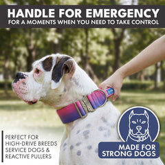 Spark Paws Tactical Collar interior neoprene padding promises gentle comfort on sensitive skin