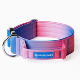 Spark Paws Tactical Collar with Handle closeup shows secure grip for large breeds during training