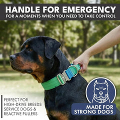 Spark Paws Tactical Dog Collar Lime Wave handle closeup for quick control.