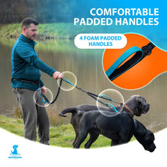 SparklyPets no-tangle swivel keeps leashes from twisting during runs