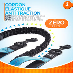 SparklyPets reflective stitches on belt improve visibility during low light