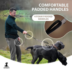 SparklyPets Reflective Stitches improve visibility for safer night walks.