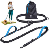 SparklyPets waist leash around a small dog with secure belt clip for hands-free walks