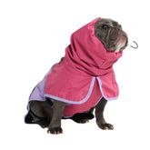 Spark Paws raincoat on a dog with full-coverage design keeps coat dry