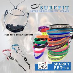 Sparky Pet Co Nexus wheel lock close-up showing secure contact.