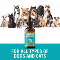 Special Breed Allergy and Immune itch relief supports comfortable daily activity