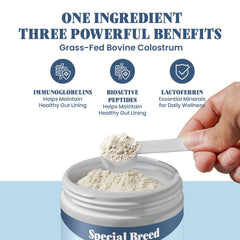 Special Breed Bovine Colostrum with dog companion β supports seasonal comfort and skin health.