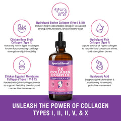 Special Breed collagen for dogs, promotes a shiny coat and healthy skin with daily liquid supplementation.