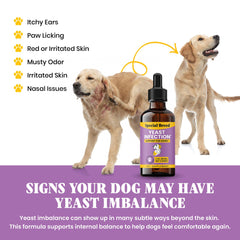 Special Breed drops designed for ears and skin relief in dogs