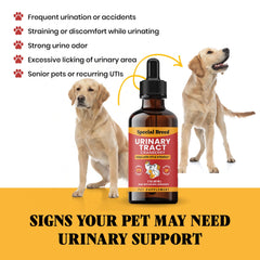 Special Breed dosing drops into mouth or food for stress-free administration.