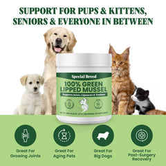 Special Breed Green Lipped Mussel Powder cat serving for joints