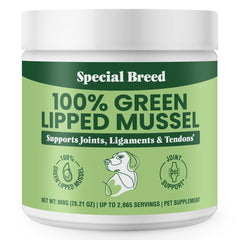 Special Breed green lipped mussel powder on dog bowl for joint support.