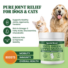 Special Breed Green Lipped Mussel Powder dog serving facilitates daily joint maintenance.