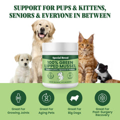 Special Breed Green Lipped Mussel Powder dosage scoop aids simple meal mixing.