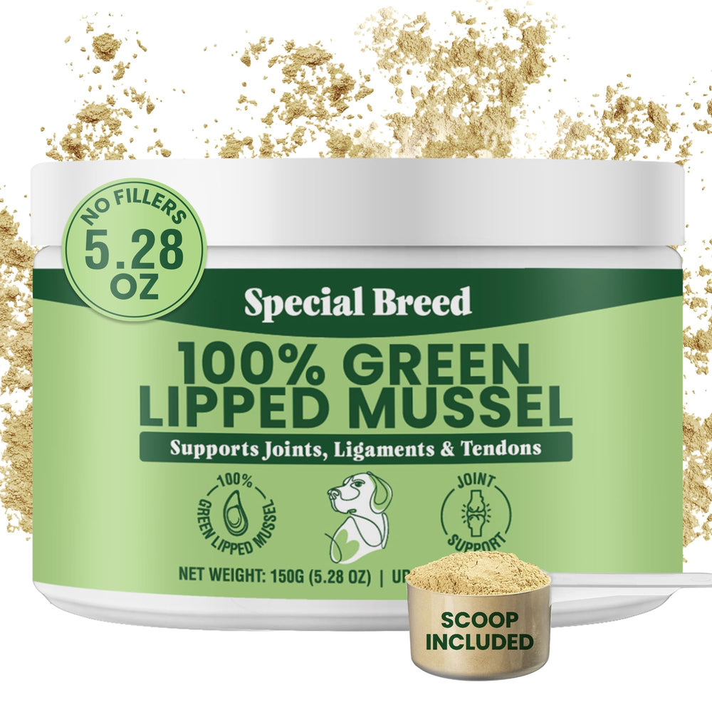 Special Breed Green Lipped Mussel Powder packaging showing NZ origin and natural joint support.