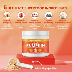 Special Breed Organic Pumpkin Apple Sweet Potato Blueberry powder shows fiber-rich nutrition.