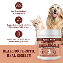 Special Breed grass-fed-beef-bone-broth-ingredients highlight a clean, two-ingredient formula.