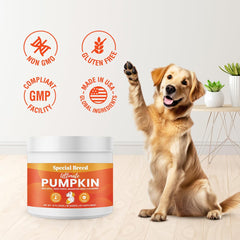 Special Breed pumpkin powder mixed with water to create a tasty puree.