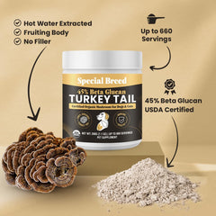 Independent third-party testing seal on Special Breed turkey tail supplement