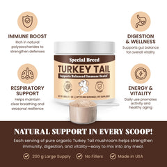 Special Breed turkey tail powder texture close-up for gut balance