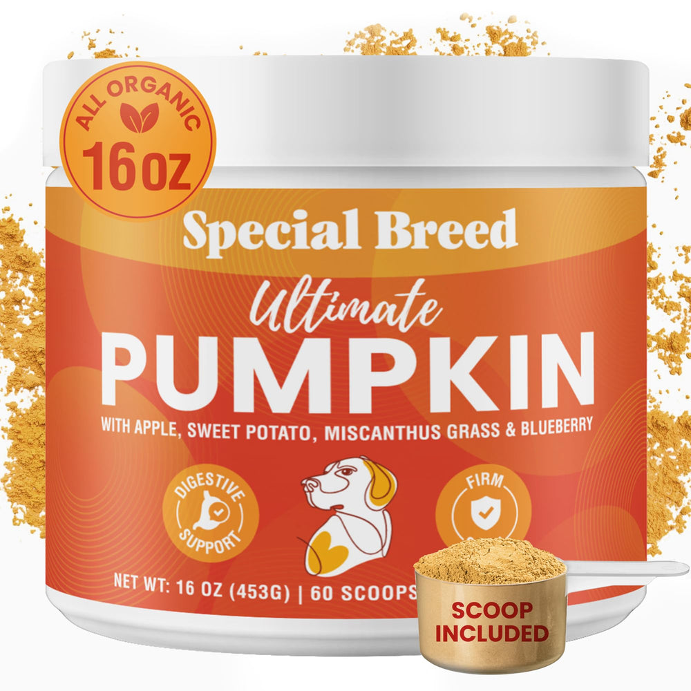Special Breed Ultimate Pumpkin dog powder bottle for convenient digestive support.