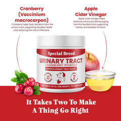 Special Breed UTI powder dosing spoon ready for easy daily use.