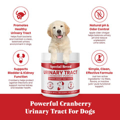 Special Breed UTI powder mixed into dog food for gentle urinary support.