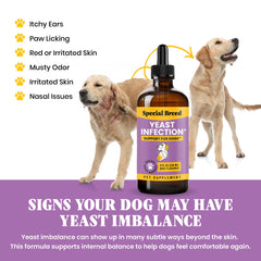 Special Breed yeast support for dogs near their ears, highlighting relief from irritation.