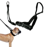 Sporn head halter for dogs providing no-pull control during relaxed walks.